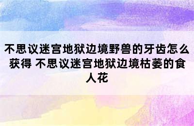 不思议迷宫地狱边境野兽的牙齿怎么获得 不思议迷宫地狱边境枯萎的食人花